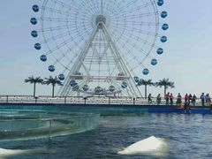 -秦皇岛乐岛海洋王国