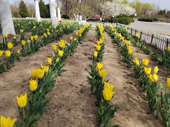 -永定河休闲森林公园