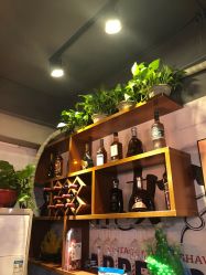 -Z.F私人订制