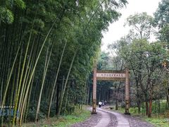 -黄公望隐居地