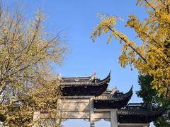-龙潭水乡
