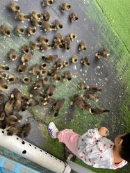 -萌宠亲子动物乐园(槐房万达店)