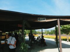 -富田农场