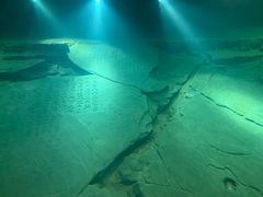 -白鹤梁水下博物馆
