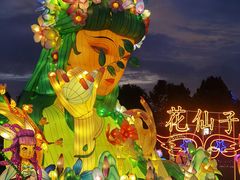 -花博汇(知音花月夜)