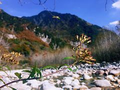 -叠溪松坪沟景区