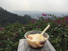 -火炉山森林公园