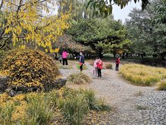 -元大都城垣遗址公园