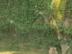 -杭州野生动物世界