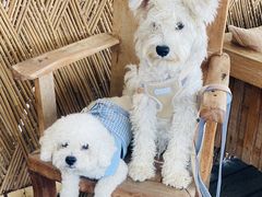 -六阅·福十 FORTEN 海景咖啡西餐厅(双廊古镇店)