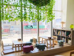 靠窗位-藏猫猫咖啡主题馆(中央大道店)