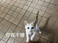 -丽丰食店(华丰花园店)