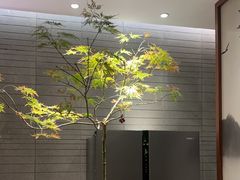 -王府茶楼茶宴·创意菜(朝阳公园店)