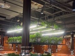 -猫爪爪原切自助烤肉(观音桥阳光世纪店)