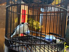 -31号公馆(黄兴广场白果园店)