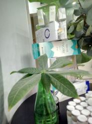 -时间海科学美容