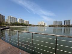 -南翔镇银翔湖公园
