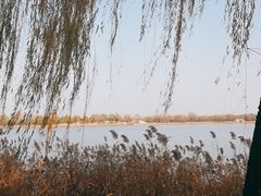 -颐和园