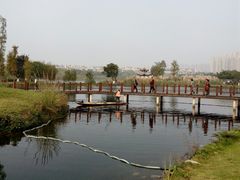 -眉山湿地公园(东坡区)