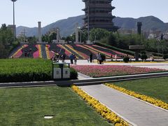 -永定河休闲森林公园