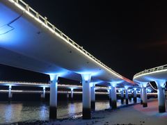 -演武大桥观景平台