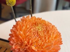 -香乐园·淮扬菜中餐厅·Shang Garden(福田香格里拉店)