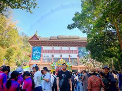 -西双版纳原始森林公园