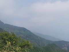 -阳台山自然风景区