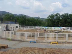 -大青山野生动物园