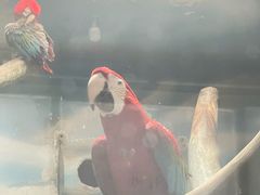 -石家庄市动物园