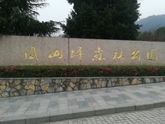 -铁山坪森林公园