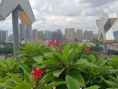 -和苑酒家·一线江景(星寰店)