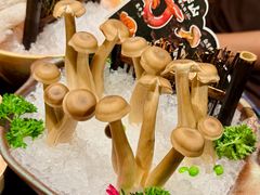 -季季山·云南野生菌火锅(上海首店)