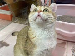 -FAELING PETS美天灵宠物(富力广场店)
