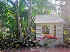 -北京植物园-展览温室