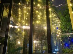 -碧特博格·20年品牌西餐厅(芜湖路店)