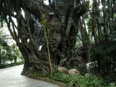 -龙达温泉生态城
