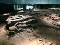 -自贡恐龙博物馆