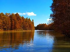 -上海海湾国家森林公园