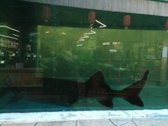 -年辉渔村·非遗传承餐厅(新丰江店)