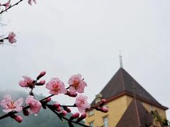 -梦娜斯庄园