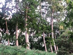 -元大都城垣遗址公园