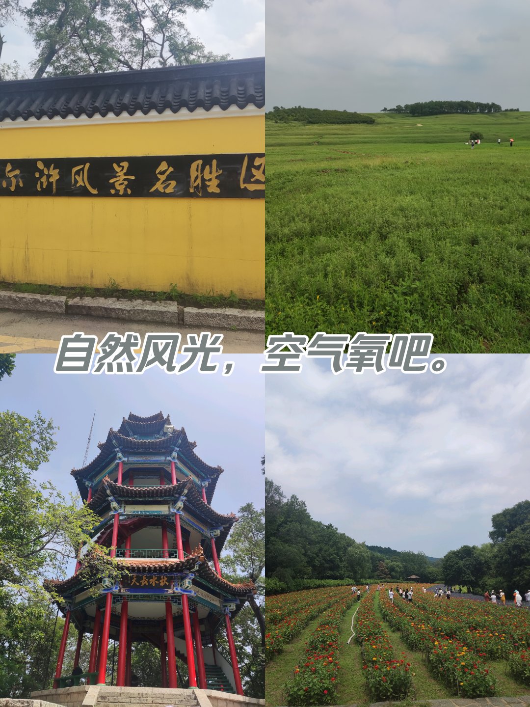 抚顺白鹭岛风景区门票图片