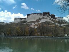 android_upload_pic-宗角禄康公园