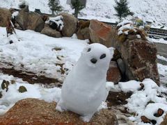 -坤济堂盲人推拿按摩