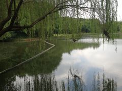 -尚贤河湿地