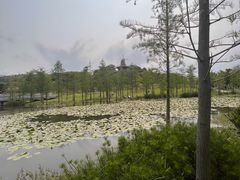 -东莞植物园