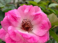 -人民公园(罗湖区)