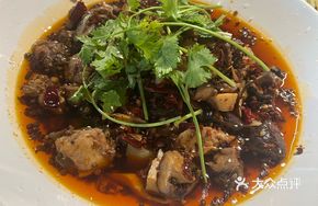 Ghost Fire Spring Chicken