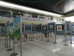 -深圳少年儿童图书馆